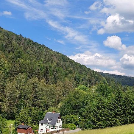 Ferienhaus Rosemarie Erlbach Vogtland Экстерьер фото