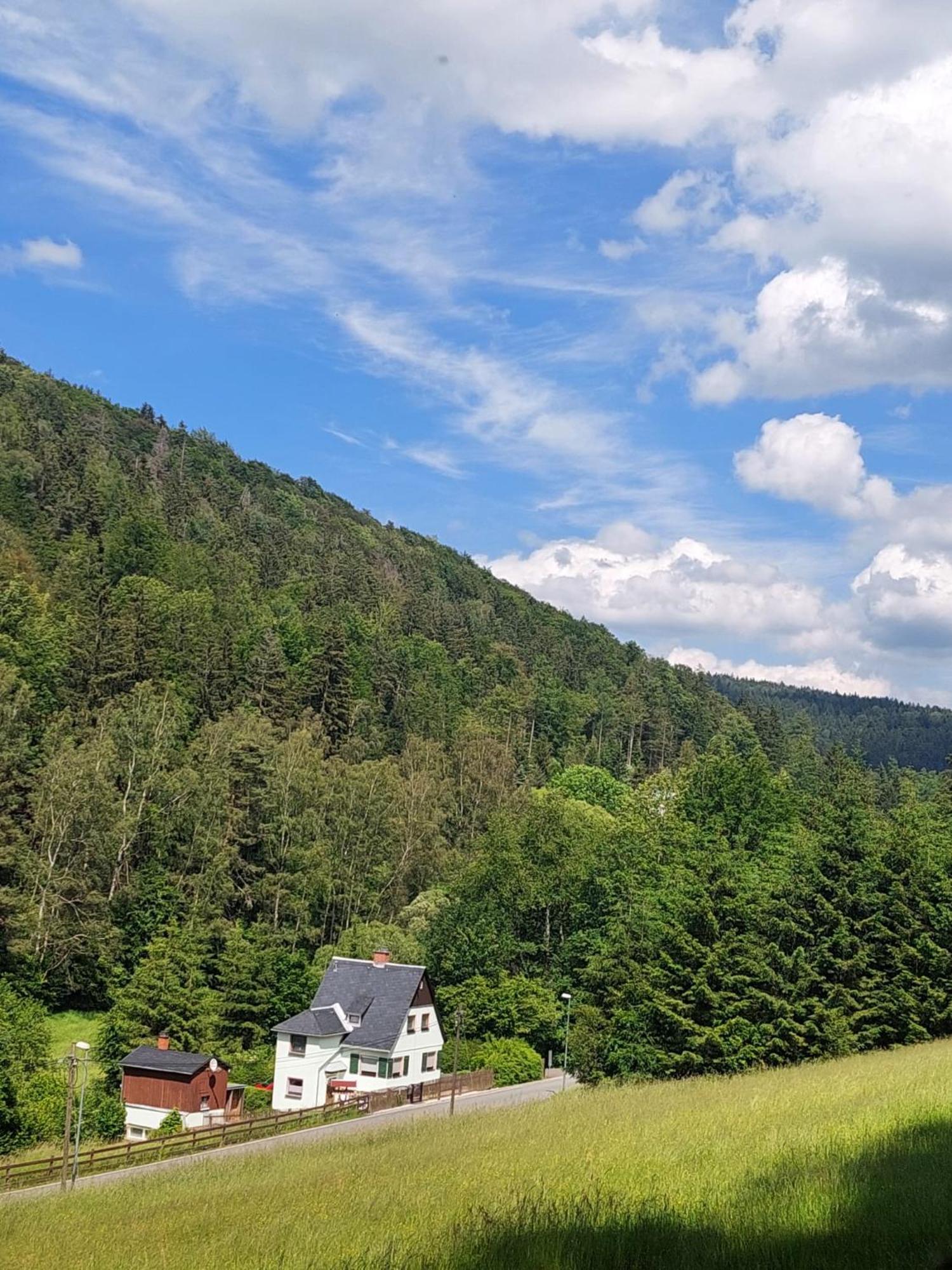 Ferienhaus Rosemarie Erlbach Vogtland Экстерьер фото